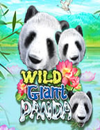 วิธีเล่นสล็อต ฟ้า โร แบบมือโปร เล่นยังไงให้ปัง!